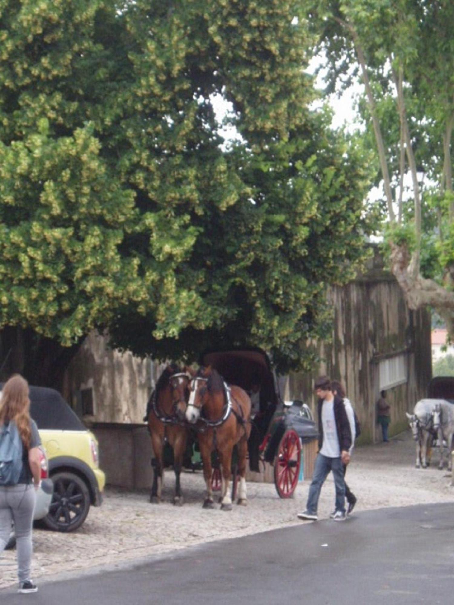 Espaco Edla Sintra Dış mekan fotoğraf