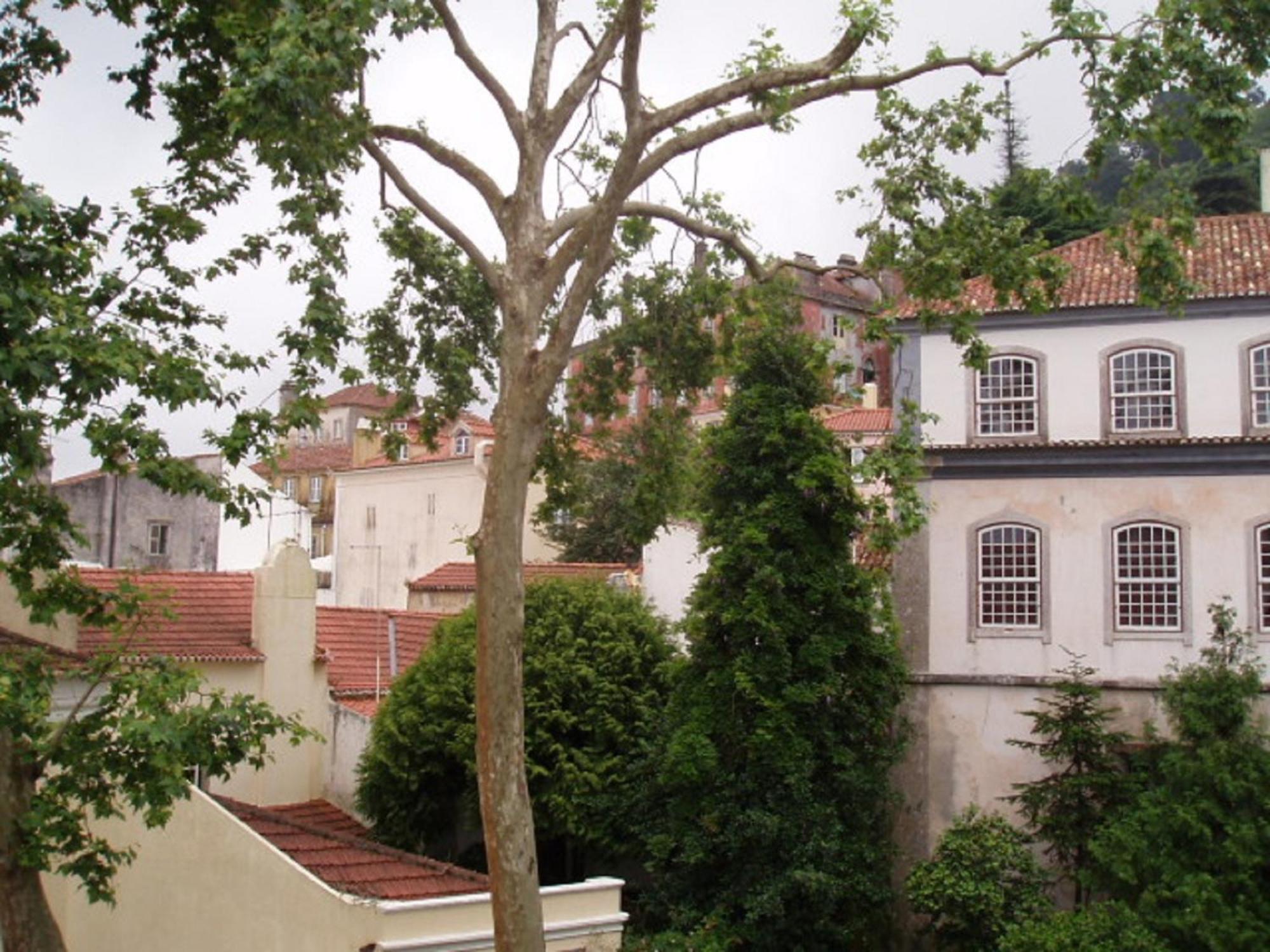 Espaco Edla Sintra Dış mekan fotoğraf